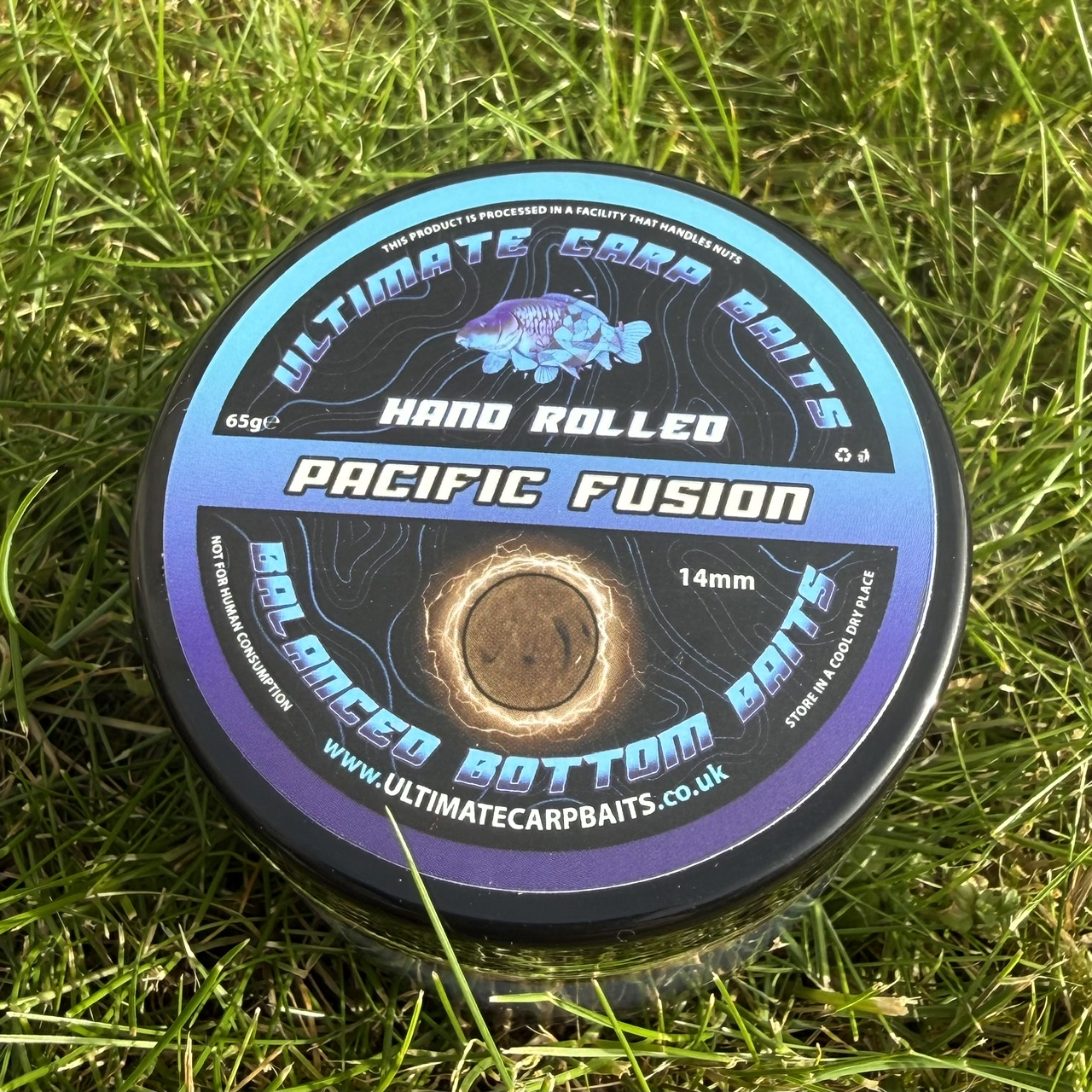 pacific fusion